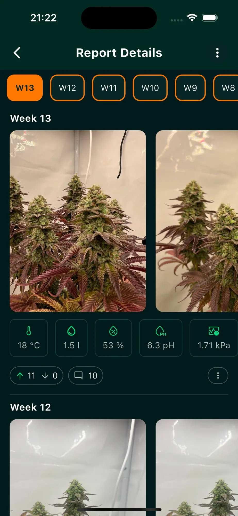 Report details for week 13: plant photos, readings for temperature, water, humidity, pH and VPD, plus votes and comments